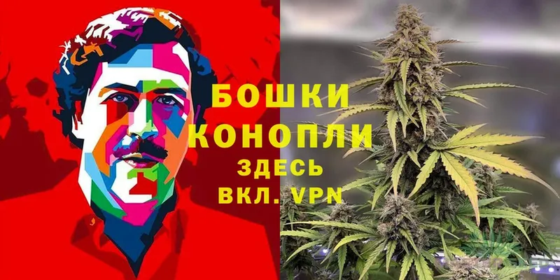 Конопля SATIVA & INDICA  Починок 